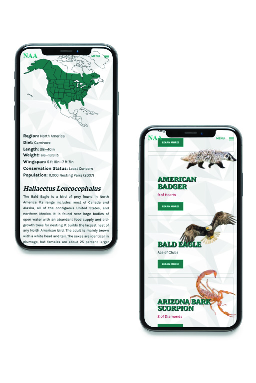 North American Animals Index