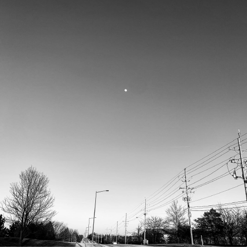 Dylan Zimmerman Photography