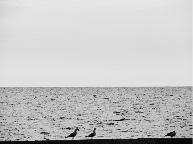 Dylan Zimmerman Photography