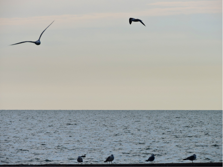 Dylan Zimmerman Photography
