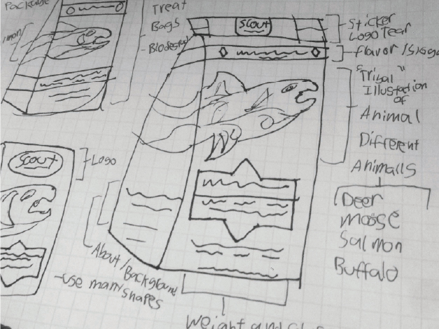 Scout Package Design