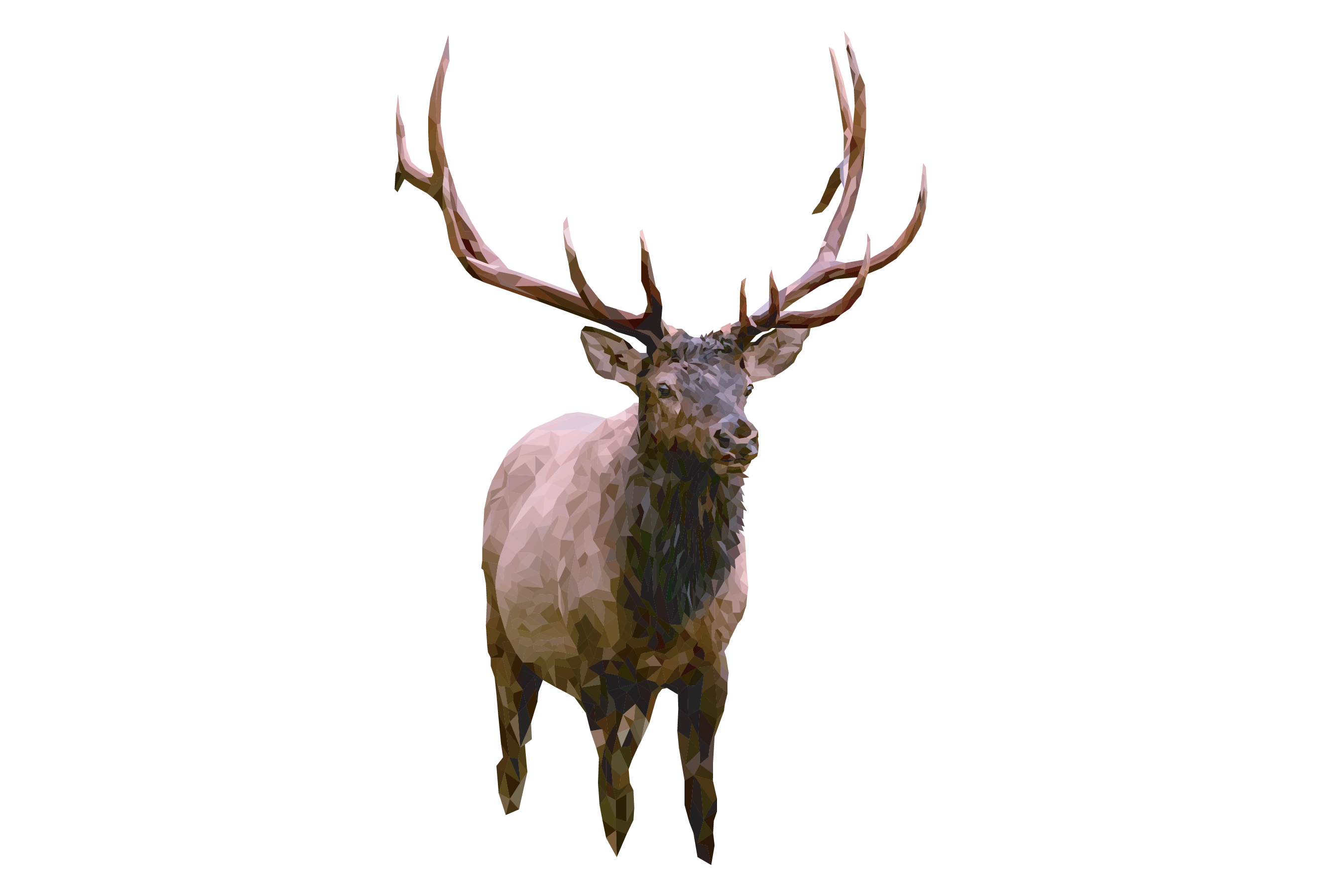 Elk