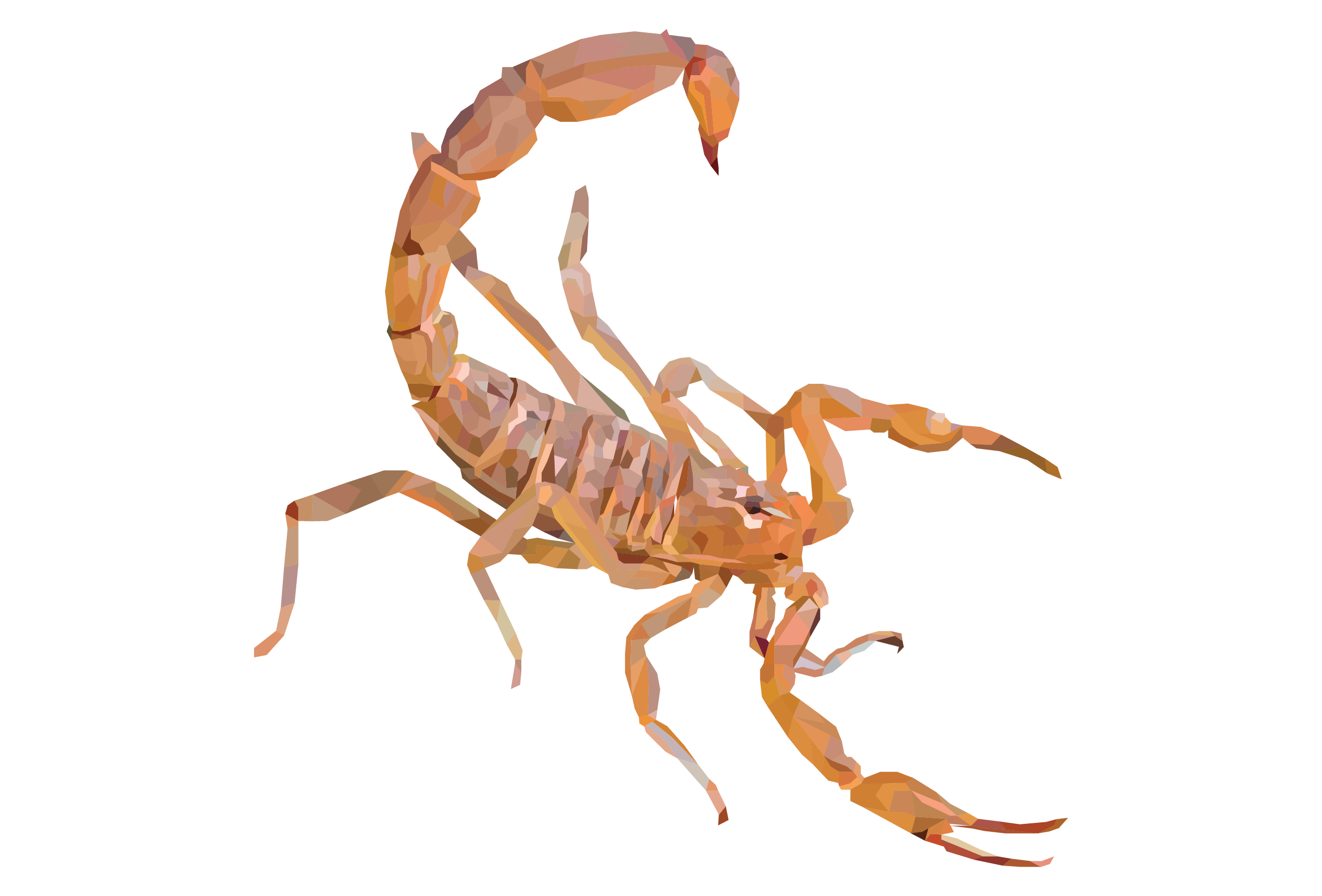 Arizona Bark Scorpion