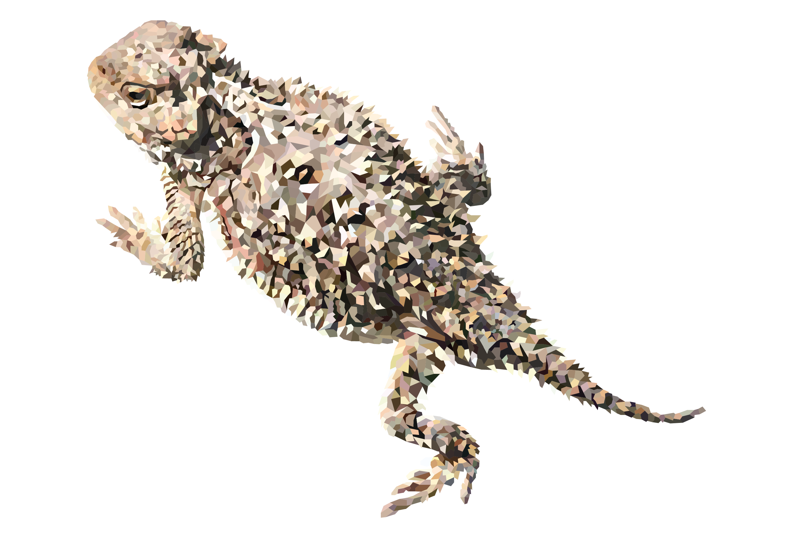 Desert Horned Lizard