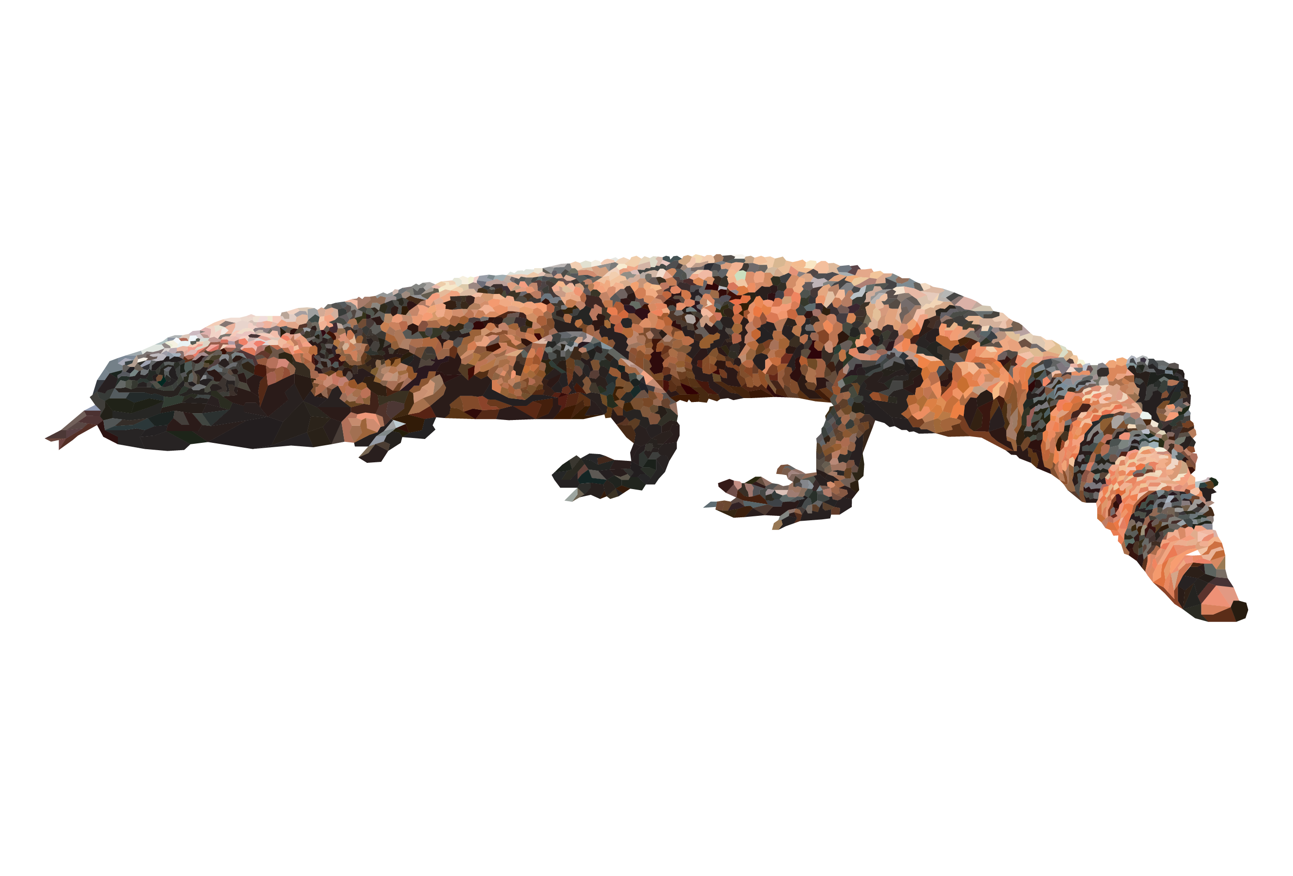 Gila Monster