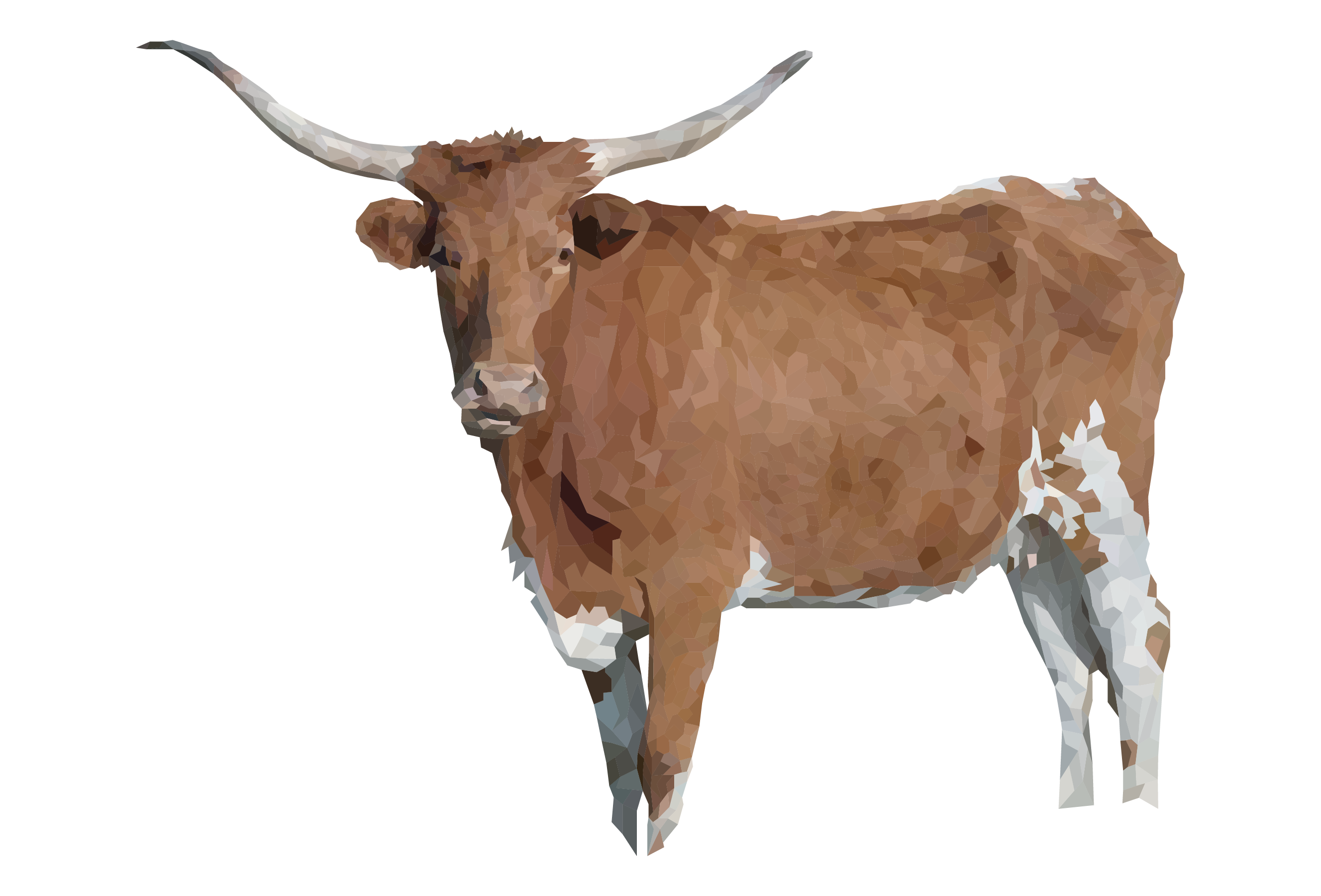 Texas Longhorn