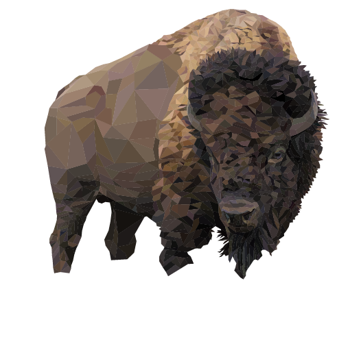 Bison