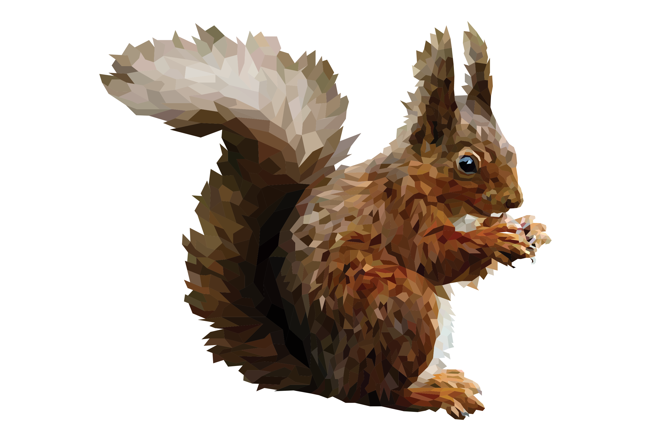 Red Squirrel