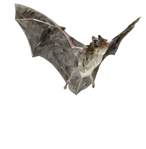 Little Brown Bat