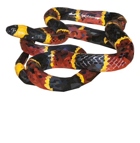 Coral Snake