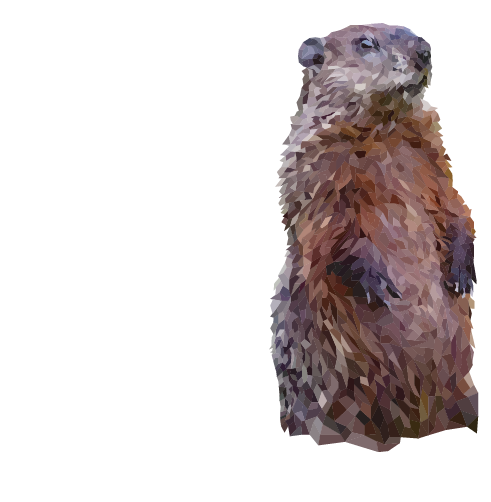 Groundhog